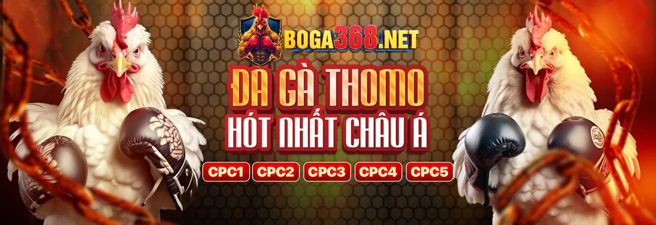 Hình ảnh chính về gà 67 trực tuyến